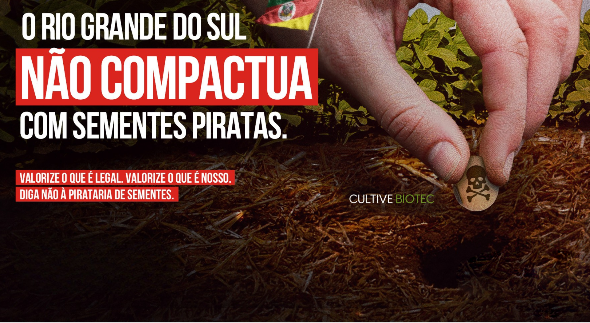 RS - Sementes Piratas